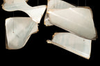 Frozen Glass Pages 54-Inch Linear Pendant
