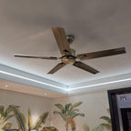 Minimalist 52-Inch Metal Ceiling Fan / Φ 52″ x H 11.8″ / Dia 132cm x H 30cm / Stainless steel / Remote control