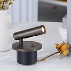 Pivoting LED Bedside Reading Light