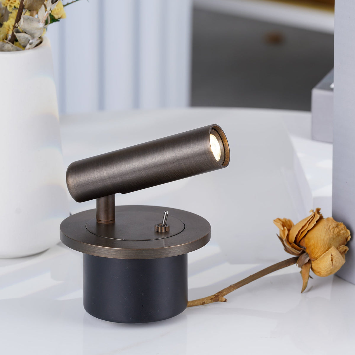 Pivoting LED Bedside Reading Light