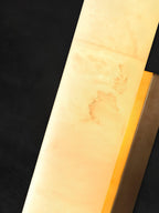 Slim Alabaster Column LED Wall Light